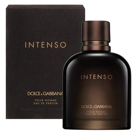 dolce gabbana pour homme fragrance|dolce and gabbana intenso men.